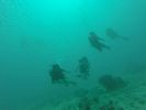 Hawaii Scuba divng 33