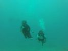 Hawaii Scuba divng 39