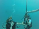 Hawaii Scuba divng 52