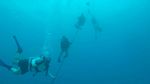 Hawaii Scuba divng 12