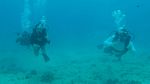 Hawaii Scuba divng 18