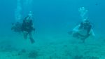 Hawaii Scuba divng 18