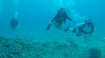 Hawaii Scuba divng 20