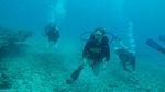 Hawaii Scuba divng 24