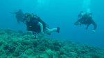 Hawaii Scuba divng 30