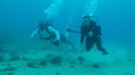 Hawaii Scuba divng 31