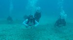 Hawaii Scuba divng 33