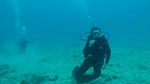 Hawaii Scuba divng 37