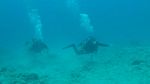 Hawaii Scuba divng 38