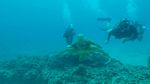 Hawaii Scuba divng 44