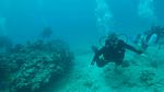 Hawaii Scuba divng 47