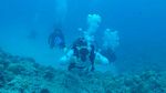 Hawaii Scuba divng 53