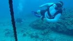 Hawaii Scuba divng 57