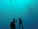 Hawaii Scuba divng 11