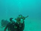 Hawaii Scuba divng 40