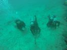 Hawaii Scuba divng 57