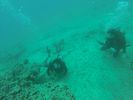 Hawaii Scuba divng 58