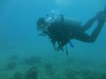 Waikiki scuba 51