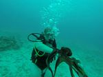 Hawaii Scuba divng 12