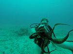 Hawaii Scuba divng 14