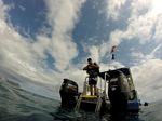 Hawaii Scuba divng 16