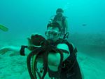 Hawaii Scuba divng 19