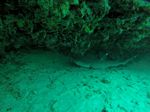 Hawaii Scuba divng 01