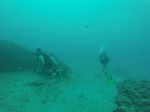 Hawaii Scuba divng 24