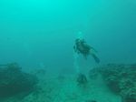 Hawaii Scuba divng 26