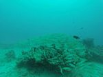 Hawaii Scuba divng 32