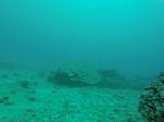 Hawaii Scuba divng 33