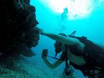 Hawaii Scuba divng 34