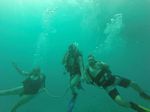 Hawaii Scuba divng 47