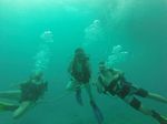 Hawaii Scuba divng 48