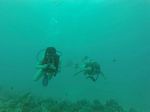 Hawaii Scuba divng 51