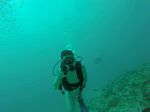 Hawaii Scuba divng 63