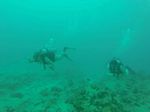 Hawaii Scuba divng 64