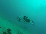 Hawaii Scuba divng 06