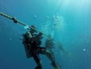 Hawaii Scuba divng 10