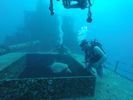 Hawaii Scuba divng 30