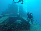 Hawaii Scuba divng 31