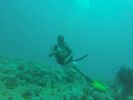 Hawaii Scuba divng 34