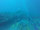 Hawaii Scuba divng 45