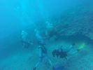 Hawaii Scuba divng 49