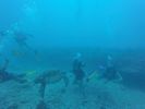 Hawaii Scuba divng 56