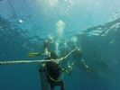Hawaii Scuba divng 08