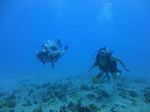 Hawaii Scuba divng 13