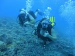 Hawaii Scuba divng 15