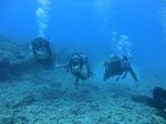 Hawaii Scuba divng 16