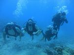 Hawaii Scuba divng 18